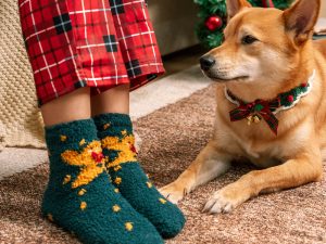 Christmas Santa Claus Knitted Scarf Matching Socks For Pet And Owner