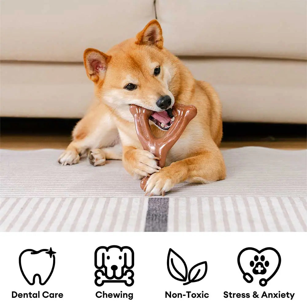 Teething Bones Dog Chew Toy - Bacon-Flavored - Image 2
