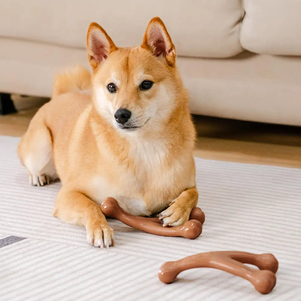 Teething Bones Dog Chew Toy - Bacon-Flavored - Image 4
