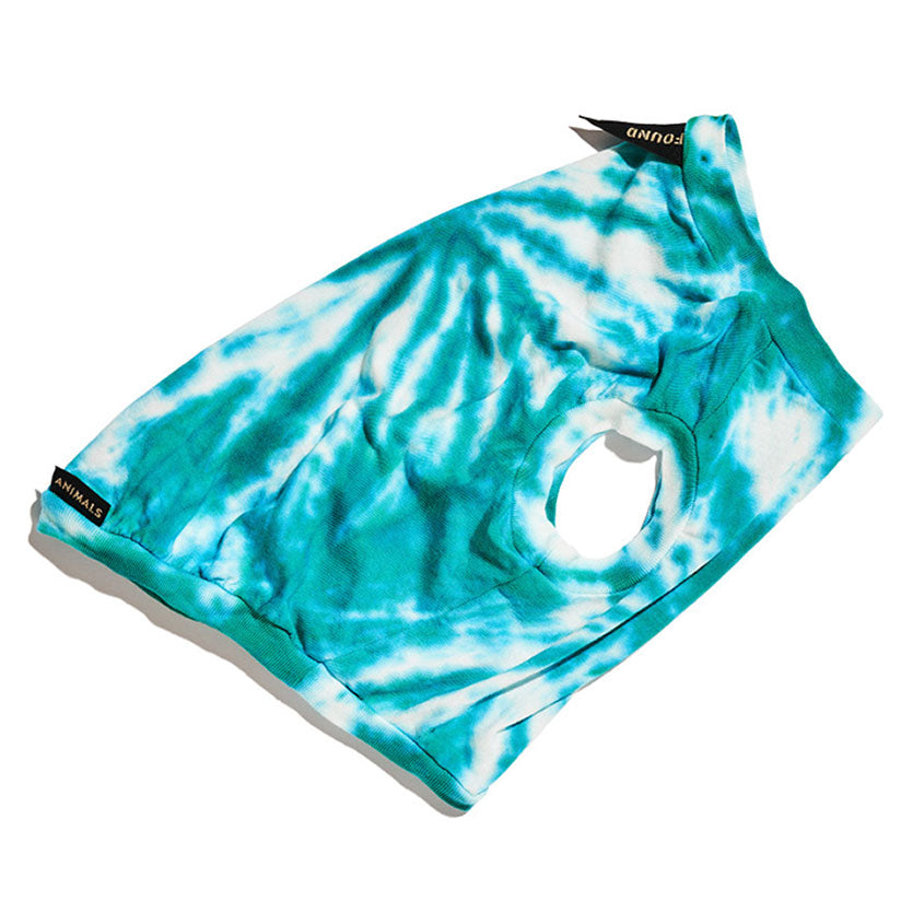 Aqua Studio Dog Tee