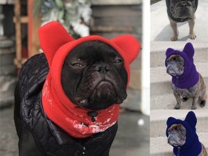 Fleece Dog Hood with Bear Ears – Fun and Cozy Winter Headwear