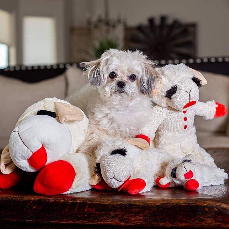 Plush Lamb Squeaker Toy Dog Interactive Toy - Image 3
