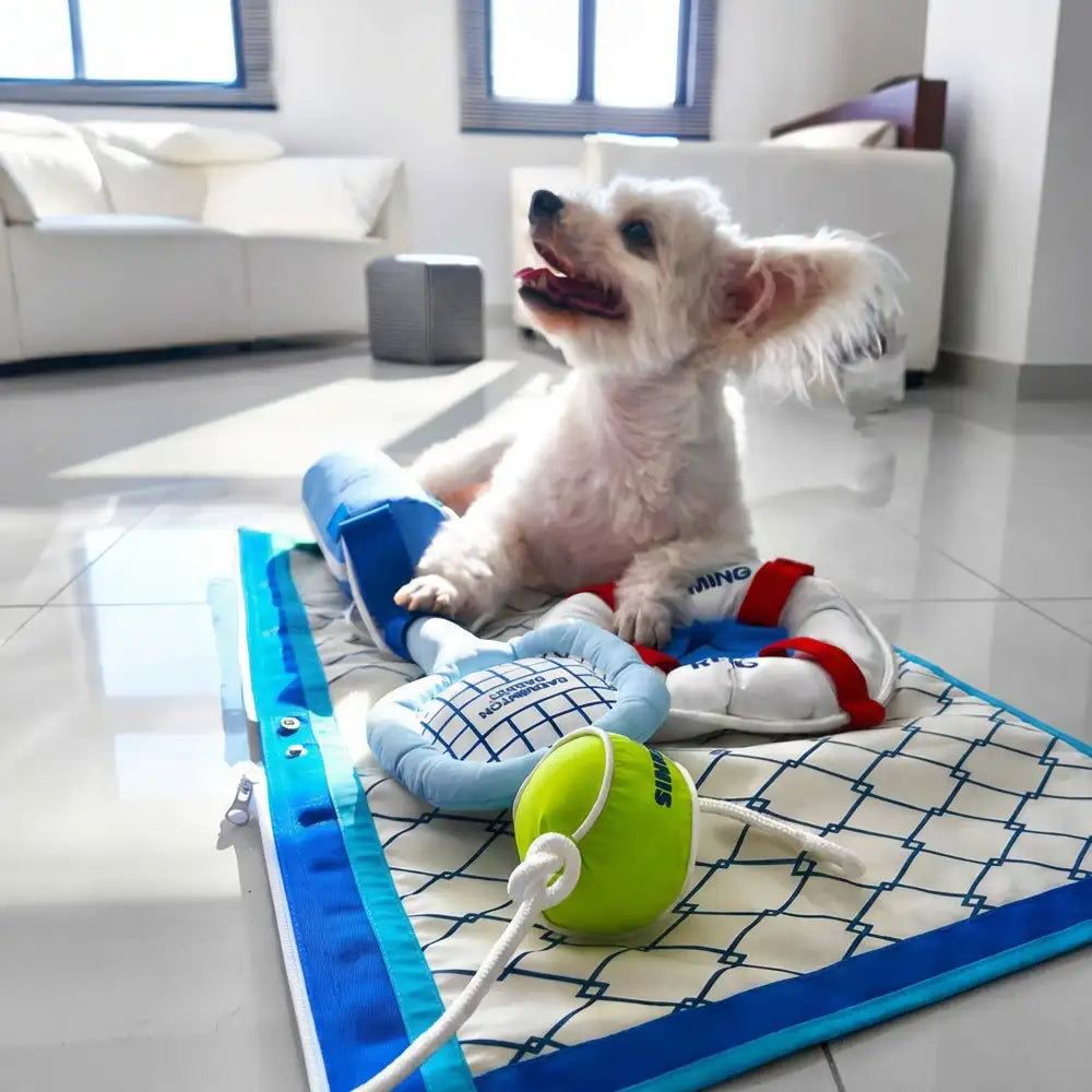 Beach Fun Series Ball Interactive Dog Toys - Image 3