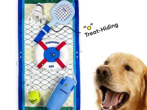 Beach Fun Series Ball Interactive Dog Toys