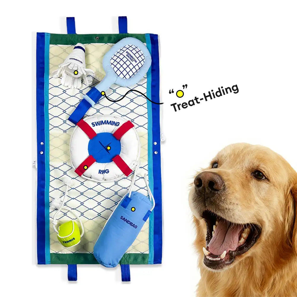 Beach Fun Series Ball Interactive Dog Toys