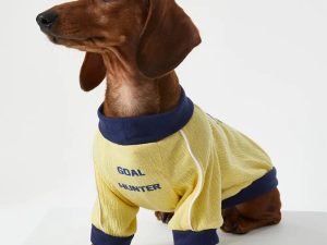 Breathable Thin Puppy Crewneck T-Shirt