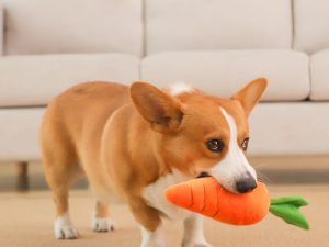 CarrotSqueakyPlushToyDogInteractiveToy-_3.jpg