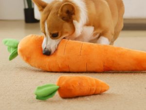 Carrot Squeaky Plush Toy Dog Interactive Toy