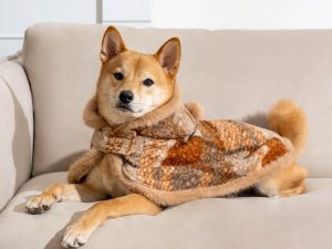 ClassicPlaidWarmthHuman_DogPoncho-FestiveCompanions_18.jpg
