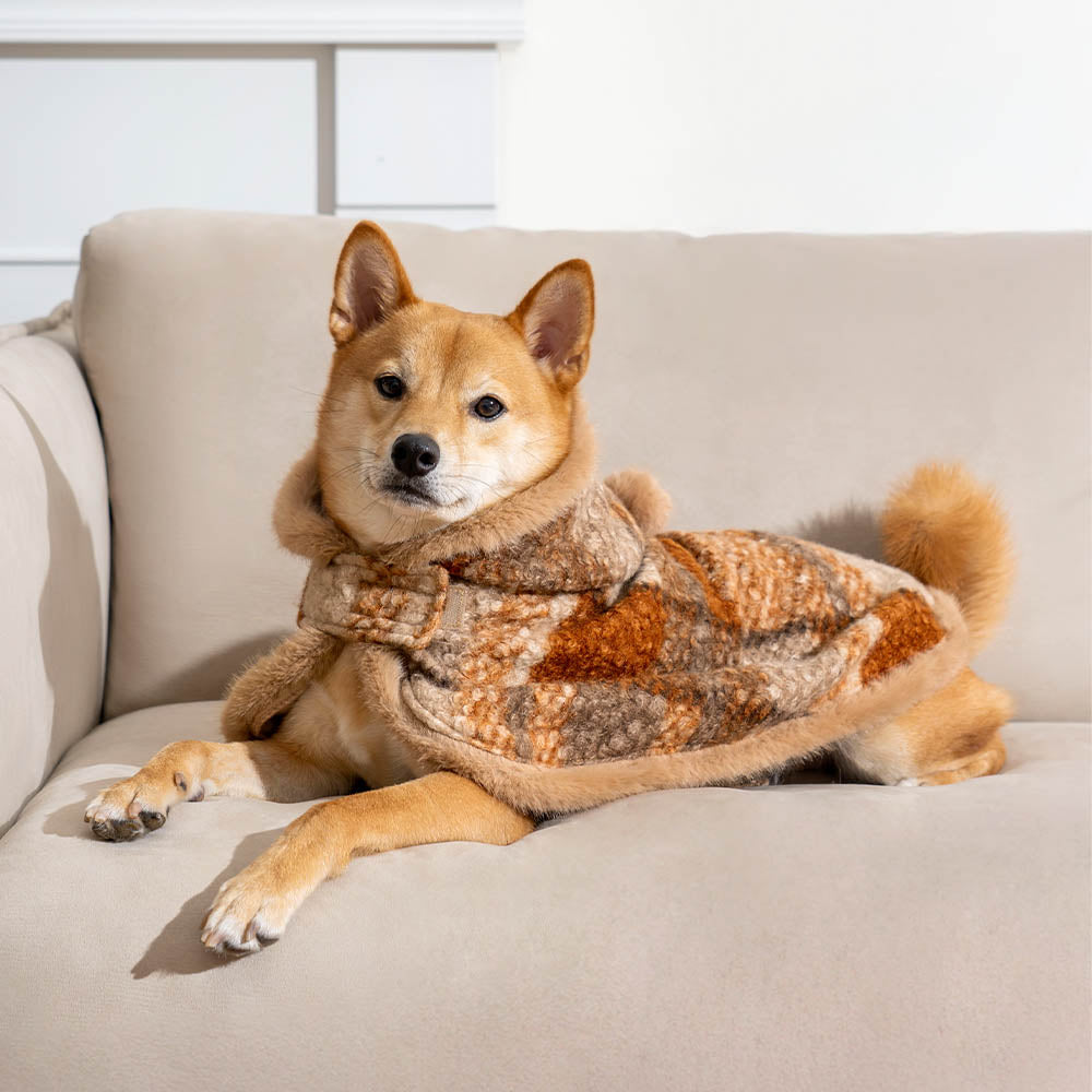 Classic Plaid Warmth Human & Dog Poncho - Festive Companions - Image 2