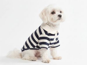 Classic_Striped_Polo_Dog_Shirts_3.jpg