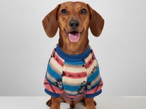 ColorfulStripedDogSweater-Cozy_FashionableWinterWear_3.jpg