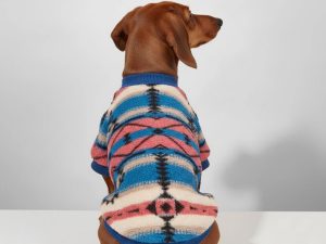 Colorful Striped Dog Sweater - Cozy & Fashionable Winter Wear