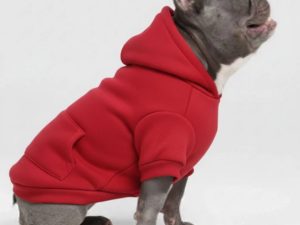 Colorful Cozy Dog Hoodies - Perfect for All-Weather Comfort
