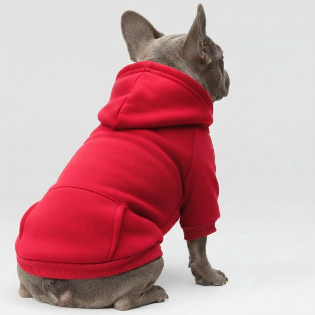 Colorful Cozy Dog Hoodies - Perfect for All-Weather Comfort - Image 2