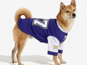 Crew Neck Breathable Washable All Breed Dog T-Shirt
