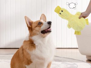 CuteDuckPlushToyWithSqueakerDogChewToy-_4.jpg