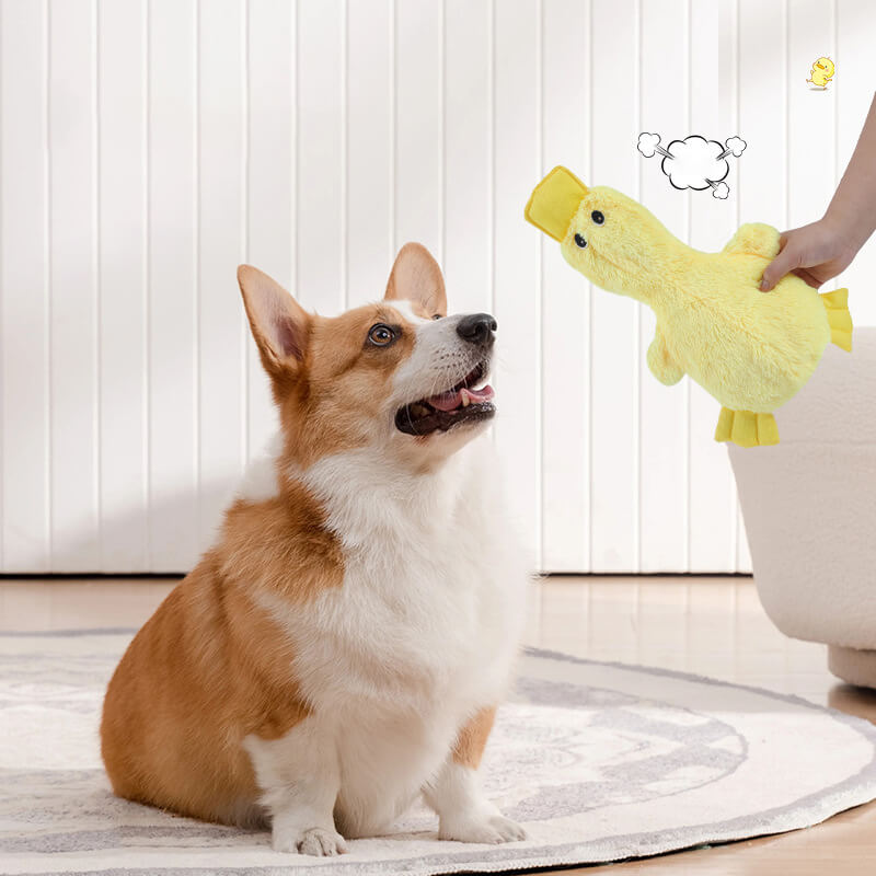 Interactive Cute Dog Chew Toy Set - Playful Fun - Image 3