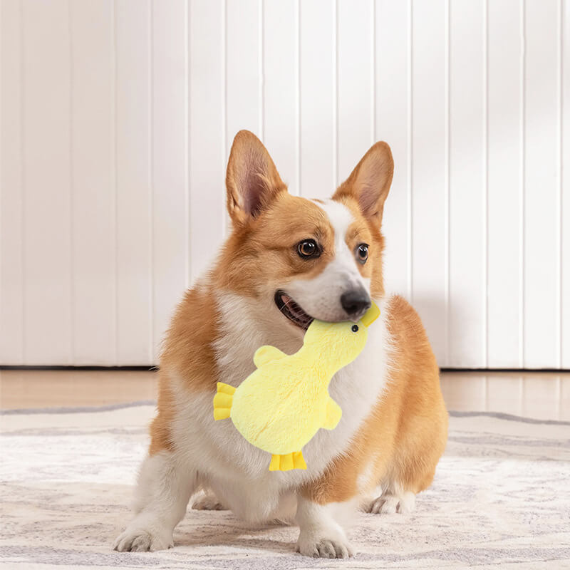 Interactive Cute Dog Chew Toy Set - Playful Fun - Image 2