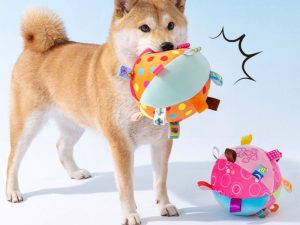 CuteEmbroideredSqueakyBallPetToy_2.jpg