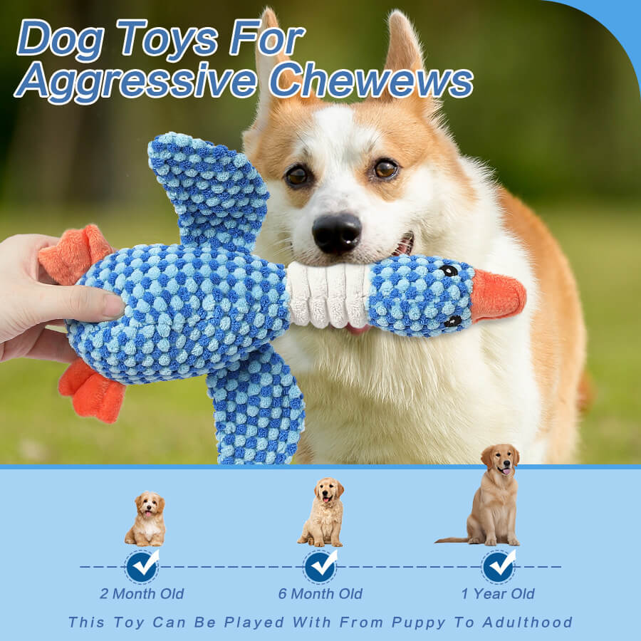 Dog Chew-Resistant Toy with Squeaker - Bird - Image 4