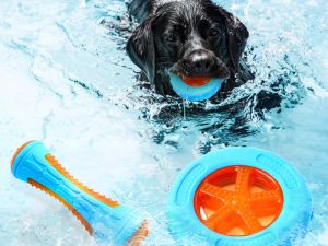 Dog Interactive Chew Toy Outdoor Floating Water Toy