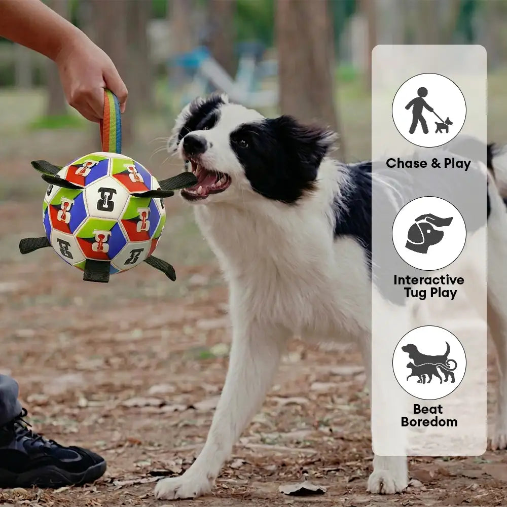 Dog Soccer Ball with Straps Interactive Toy - Image 3