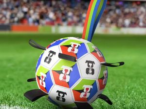 Dog Soccer Ball with Straps Interactive Toy