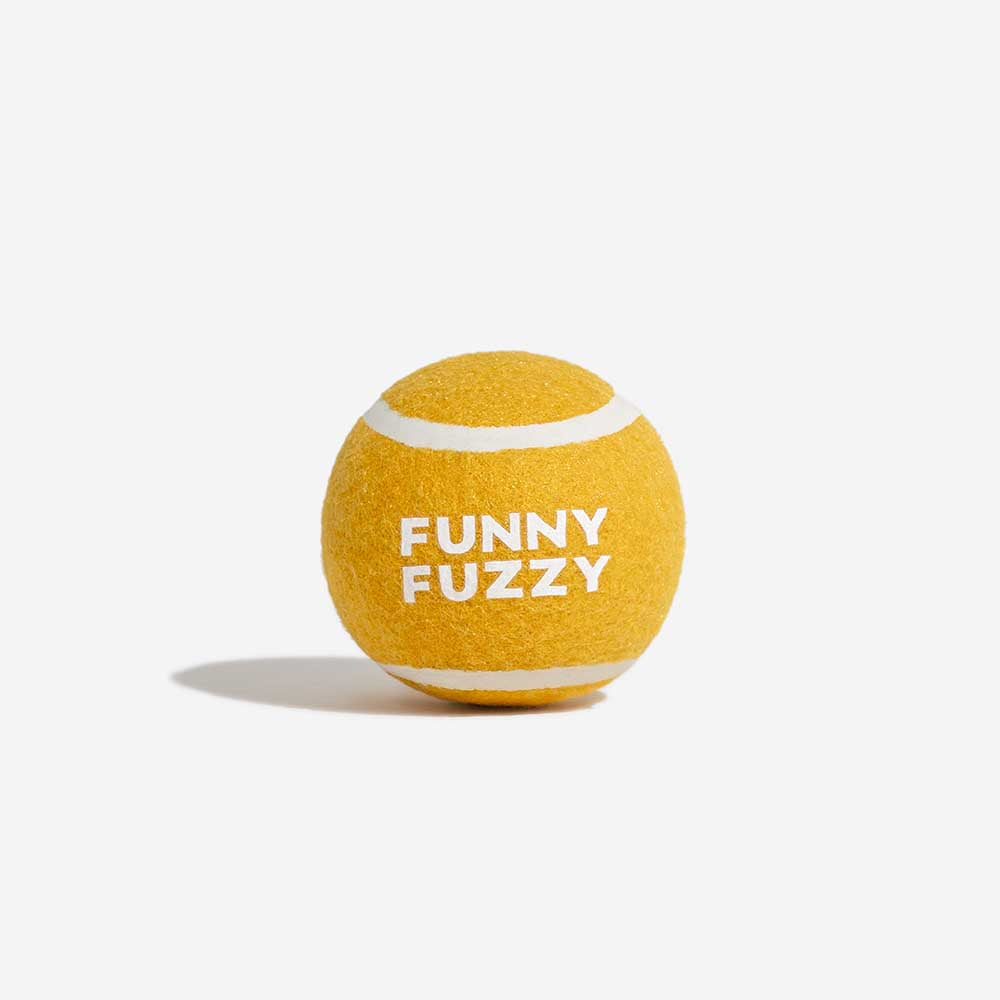 Tennis Ball Dog Toy - Squeaky & Bounce - Image 2