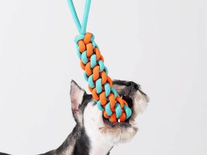 FunnyFuzyy_BraidedRopeStickTugDogToyColorClash9.jpg
