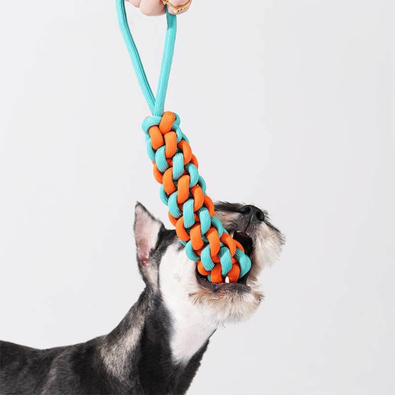 Braided Rope Stick Tug Dog Toy - Color Clash - Image 2