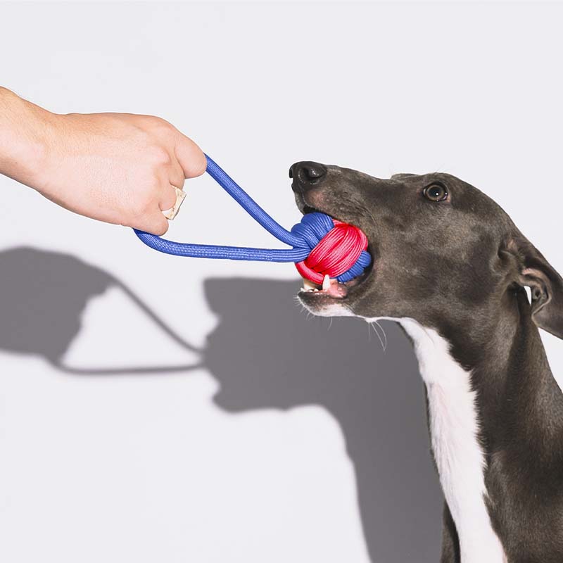 Knots Rope Tug Dog Toy - Color Clash - Image 2