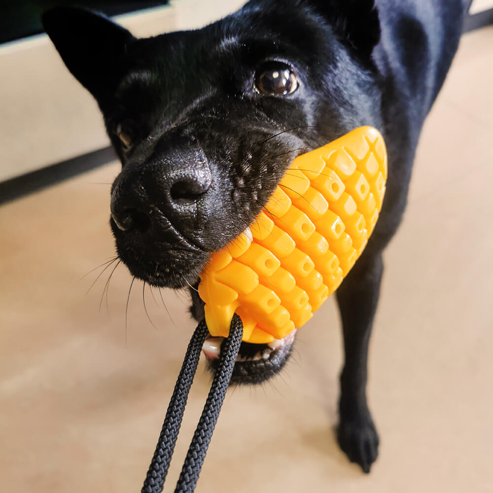 Suction Cup Dog Toy - Mango - Image 2