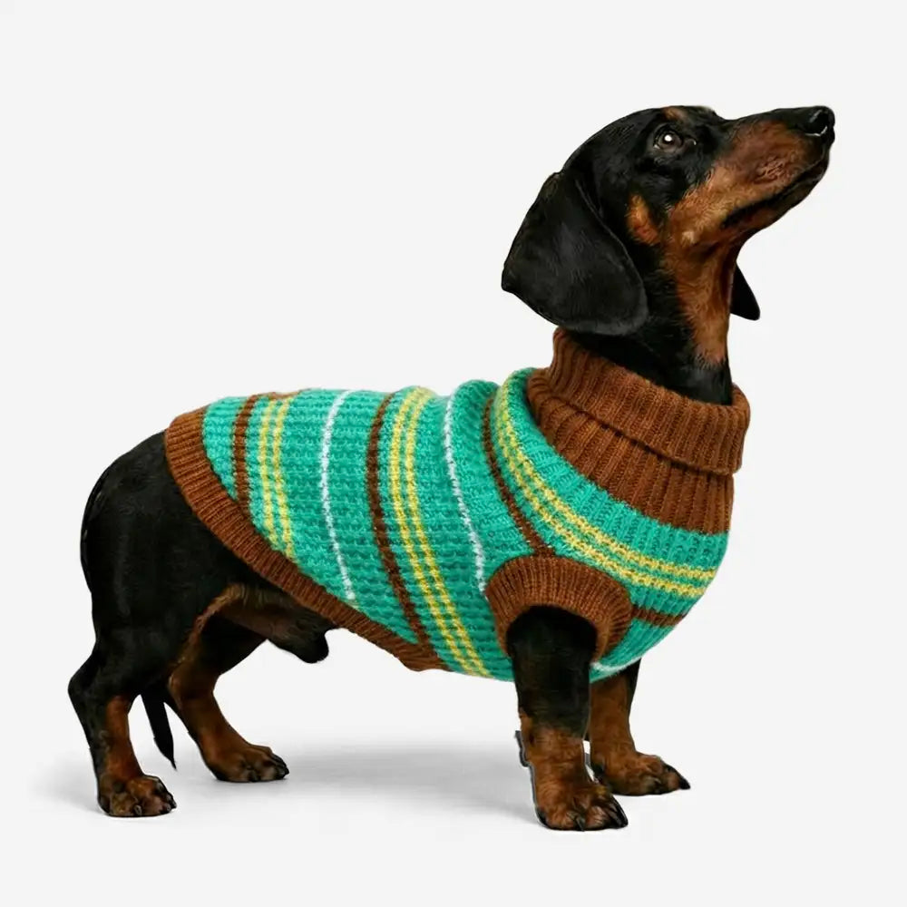 Color Blocked Striped Dog Sweater For Small Dogs - Image 2