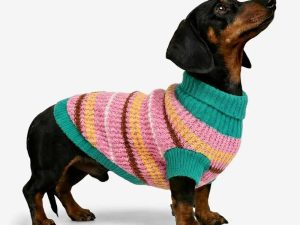 Color Blocked Striped Dog Sweater For Small Dogs