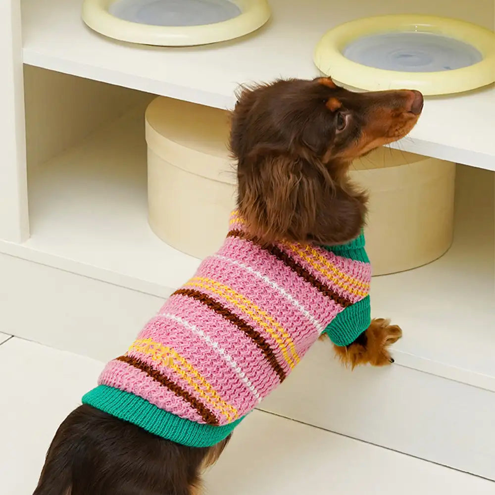 Color Blocked Striped Dog Sweater For Small Dogs - Image 4