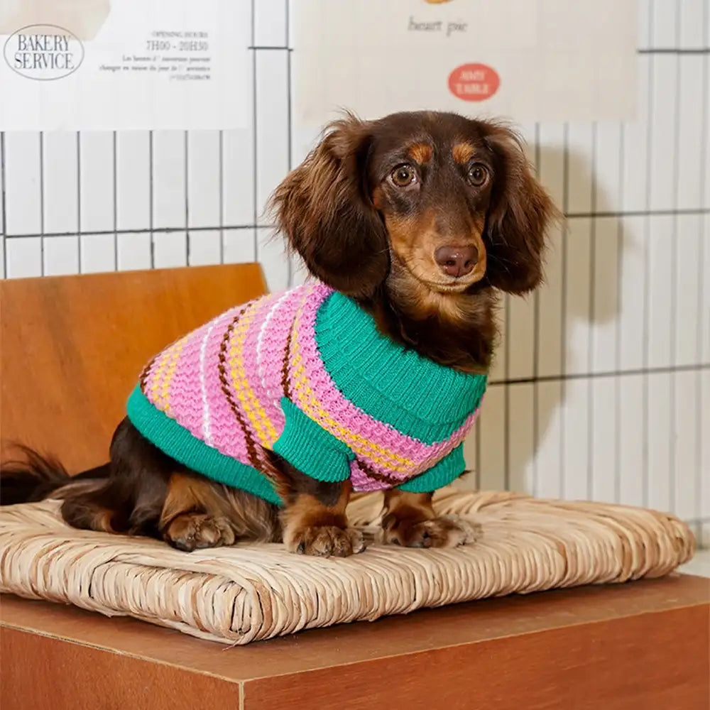 Color Blocked Striped Dog Sweater For Small Dogs - Image 3