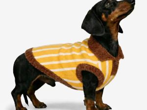 Color Blocked Striped Polo Collar Dog Sweater For Small Dogs