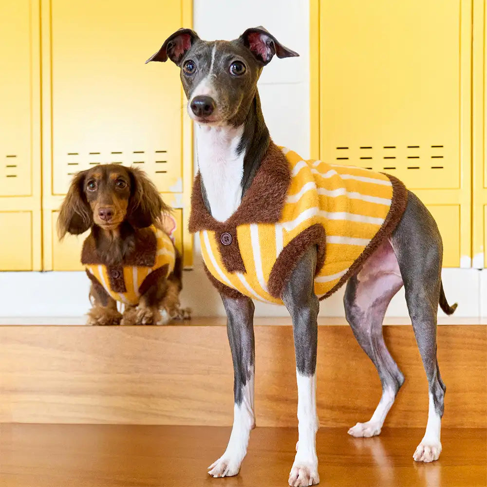 Color Blocked Striped Polo Collar Dog Sweater For Small Dogs - Image 3
