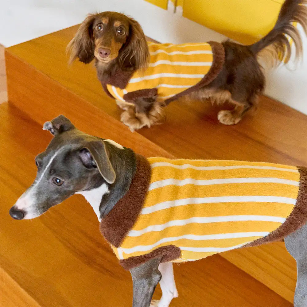 Color Blocked Striped Polo Collar Dog Sweater For Small Dogs - Image 2