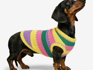 Color Blocked Striped Sleeveless Dog Sweater For Small Dogs