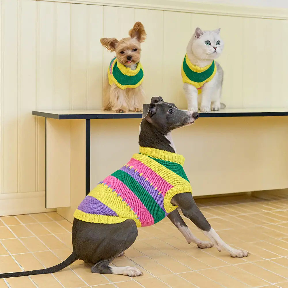 Color Blocked Striped Sleeveless Dog Sweater For Small Dogs - Image 3
