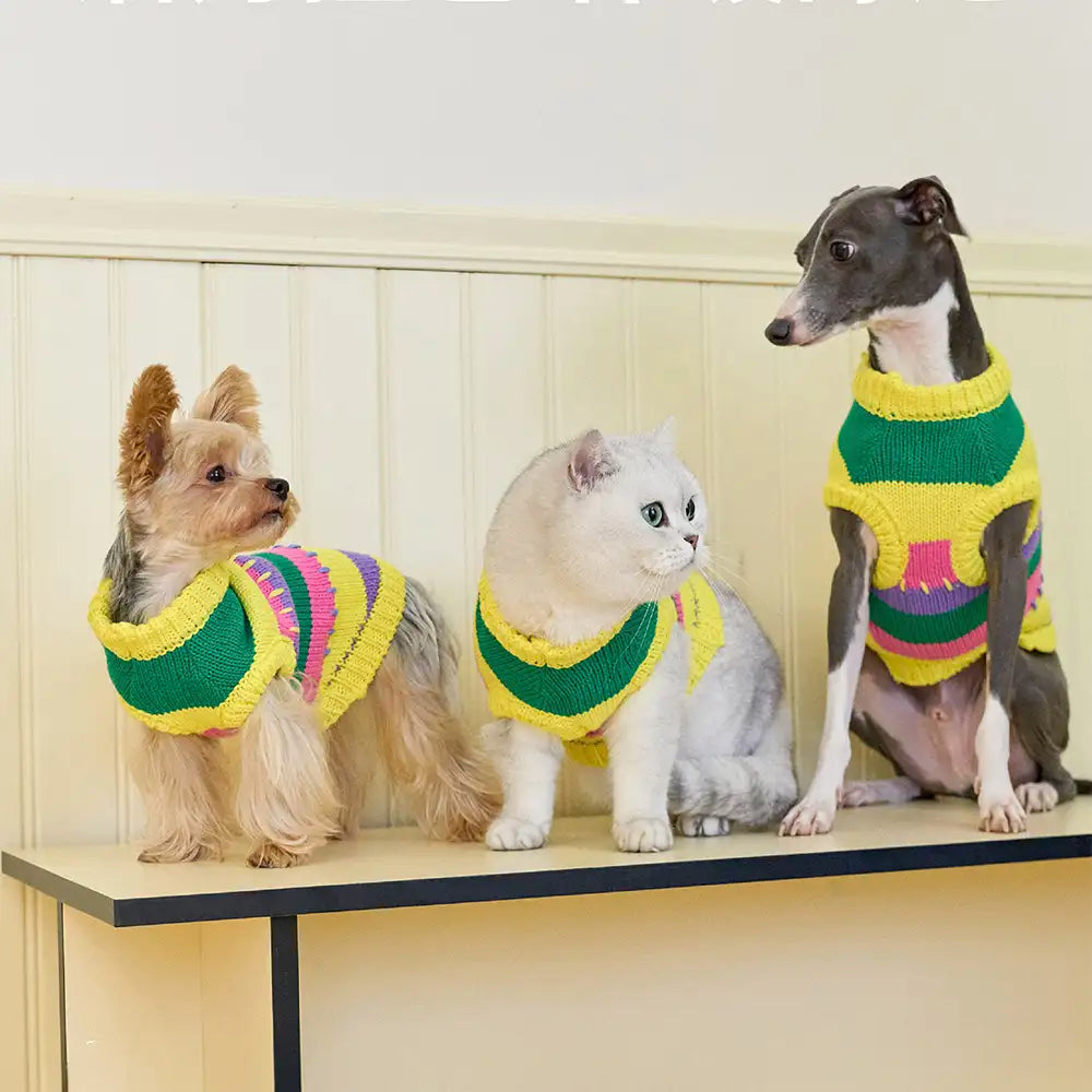 Color Blocked Striped Sleeveless Dog Sweater For Small Dogs - Image 2