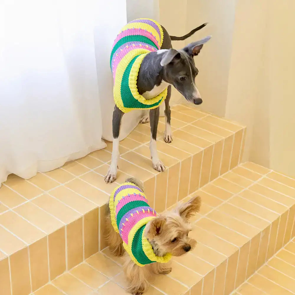 Color Blocked Striped Sleeveless Dog Sweater For Small Dogs - Image 4