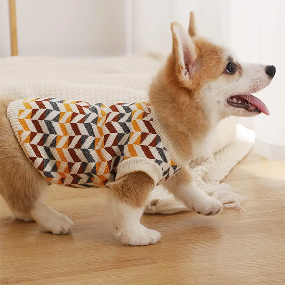 Diamond Striped Dog Sweater For Small Dogs - Image 2