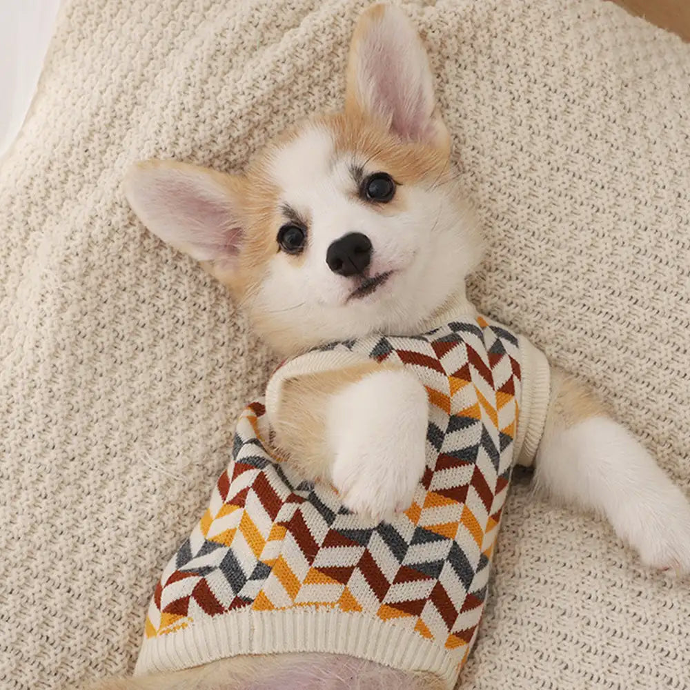 Diamond Striped Dog Sweater For Small Dogs - Image 3