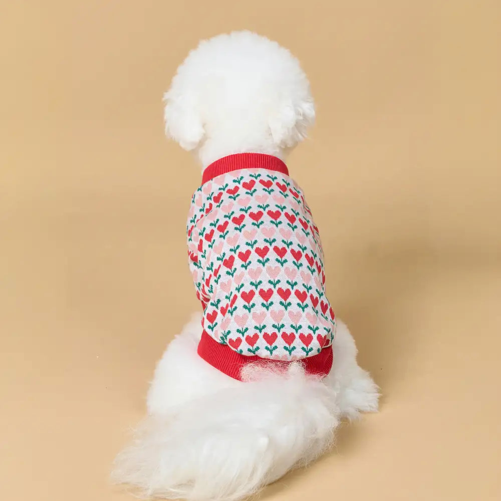 Fair Isle Heart Patterned Cardigan Dog Sweater For Small Dogs - Image 4