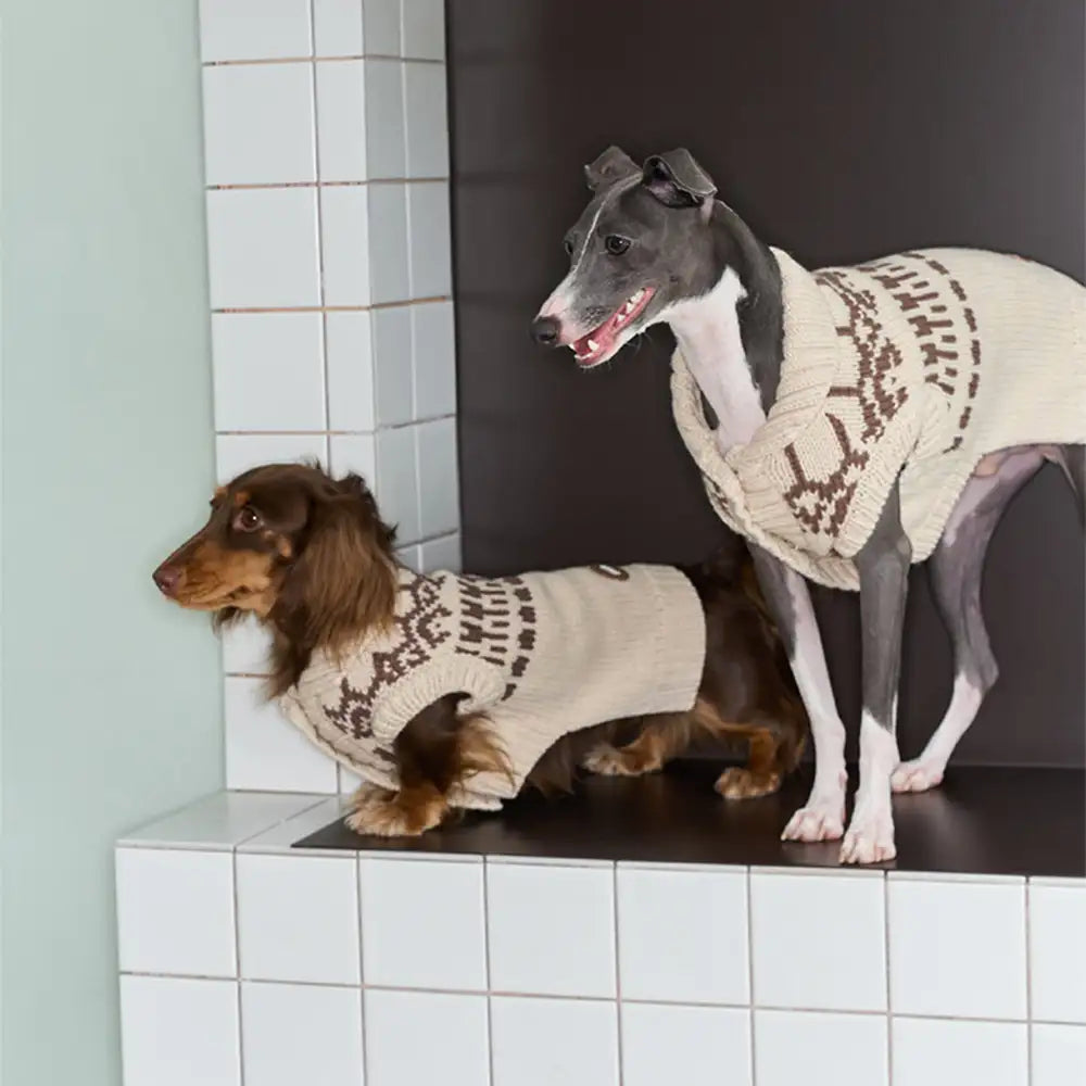 Fair Isle Pattern Sleeveless Dog Sweater For Small Dogs - Image 3