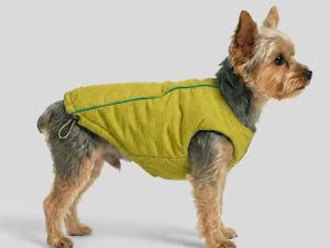 FunnyFuzzyFashionReversiblePaddedThickWarmDogJacket-12.jpg