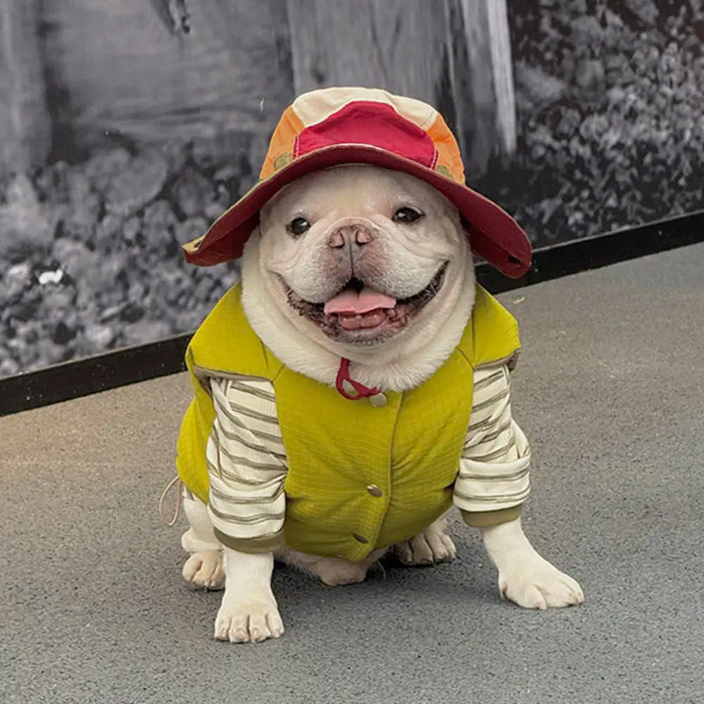 Fashion Reversible Padded Thick Warm Dog Jacket - Image 4